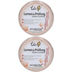 Edis Lernen & Prüfung