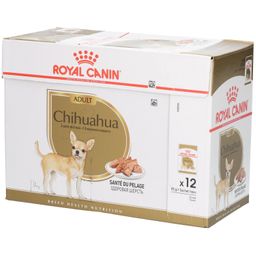 Royal Canin BHN CHIHUAHUA 85g x 12