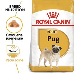 Royal Canin BHN Carlin Adulte