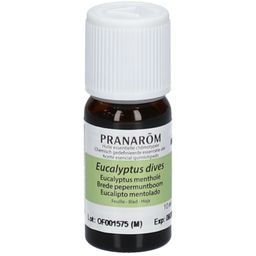 PRANAROM Eukalyptus Minze