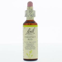 BACH®-BLÜTE CHESTNUT BUD (Kastanienknospe)