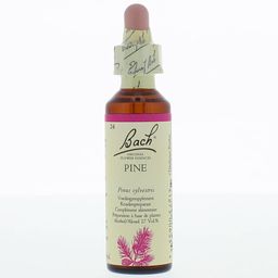 Bach Flower Remedie 24 Pine