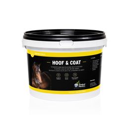Hoof&Coat Chevaux Poudre