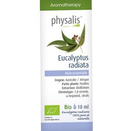 Physalis® Eucalyptus Radiata Bio Ätherisches Öl
