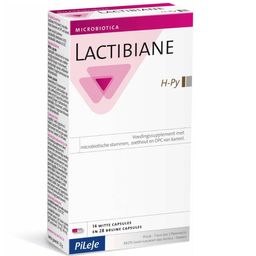Lactibiane H-Py