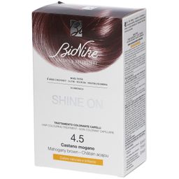 BioNike SHINE ON Haarfärbepflege 4.5 KASTANIE ACAJOU
