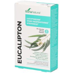 Soria Natural® 26-C Eucalipton XXI