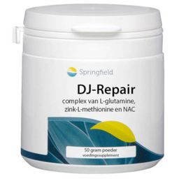 Springfield DJ Repair