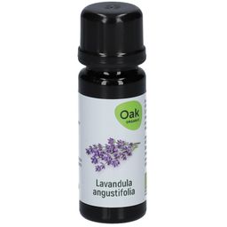 Oak ätherisches Lavendel-Öl BIO