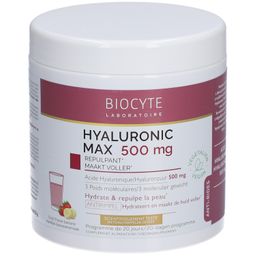 BIOCYTE Hyaluronic Max - poudre à diluer