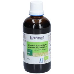 Ladrôme Gewoon Achillée Millefeuille Extrait Végétale