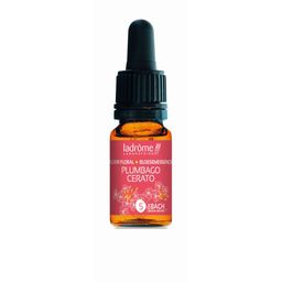 Ladrôme Plumbago Nr. 5 10ml
