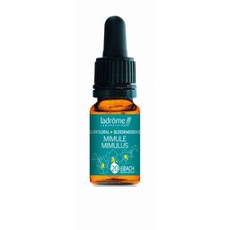 Ladrôme Mimule Nr. 20