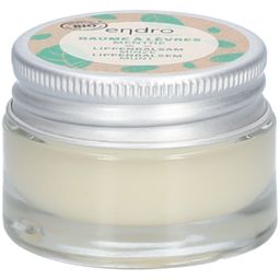 Endro Lippenbalsam Minze
