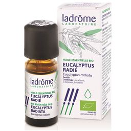 Ladrôme Huile essentielle Eucalyptus radié Bio