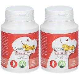 Anima Vital® MSM Glucosamin