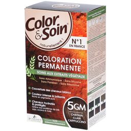 Color & Soin® Coloration permanente 5GM Châtain Clair Cappuccino