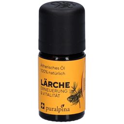 PURALPINA® Ätherisches Lärchenöl 5 ml – Erneuerung & Vitalität