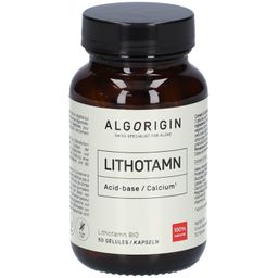 Algorigin Lithothamne