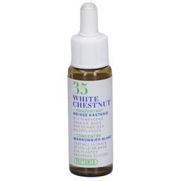 Phytomed White Chestnut Nr. 35 Blütenessenz Weisse Kastanie