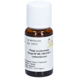 AROMASAN Ätherisches Öl Thuja occidentalis