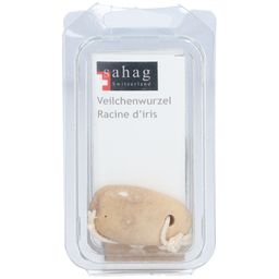 Sahag racine de violette avec cordon