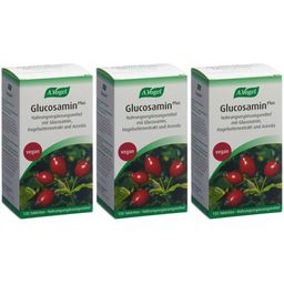 A.Vogel Glucosamin Plus