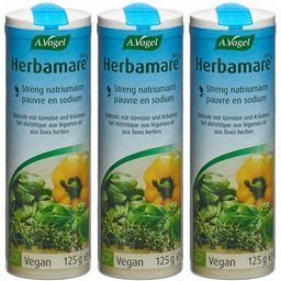 A. Vogel Herbamare Diet Diätsalz