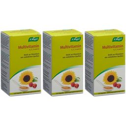 A.Vogel Multivitamin A,C,E und B9