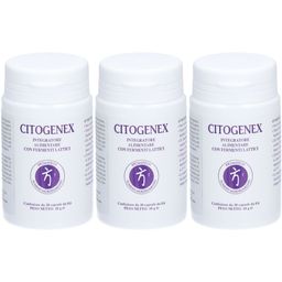 BROMATECH CITOGENEX - Nahrungsergänzungsmittel mit Milchsäurebakterien
