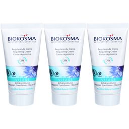 BIOKOSMA Pure Visage - Regulierende Creme 24h