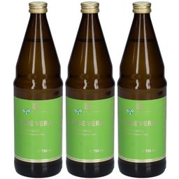 NATURKRAFTWERKE Jus d'Aloe Vera Bio