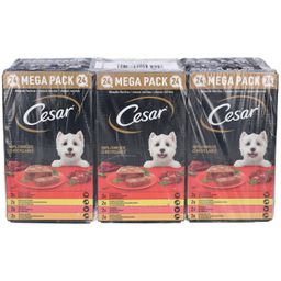 Cesar Mega Pack - Klassische Terrinen für erwachsene Hunde