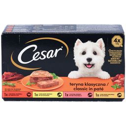 Cesar Terrine Classic - Paté für erwachsene Hunde