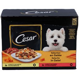Cesar Selection en Gelée – Sachets Fraîcheur pour Chien Adulte