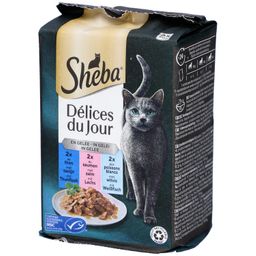 Sheba Délices du Jour - Gelee-Auswahl für erwachsene Katzen