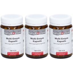 NATURSTEIN Multi-Enzym