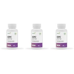 SANASIS OPC Forte