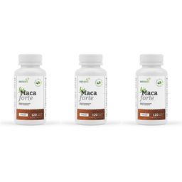 SANASIS Maca Forte bio