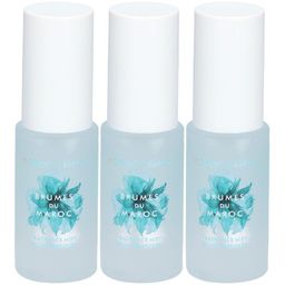 Moroccanoil Brumes du Maroc Hair & Body Mist