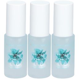 Moroccanoil Brumes du Maroc Haar- und Körpernebel