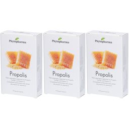 Phytopharma Propolis