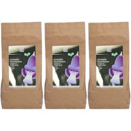 NATURKRAFTWERKE Graines de sésame noir bio
