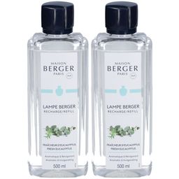Maison Berger Paris Duft Eukalyptus frisch