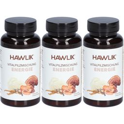 Hawlik Vitalpilzmischung Energie mit Kalzium und Bio-Pilzen