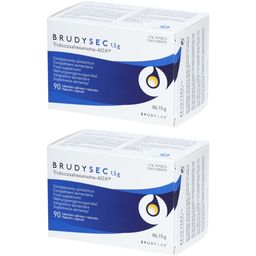 BrudyLab BrudySec