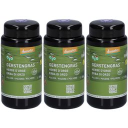 NATURKRAFTWERKE Herbe d'orge Poudre