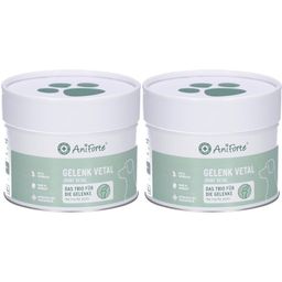 AniForte Gelenk Vital - Complément articulaire naturel pour chiens adultes et seniors