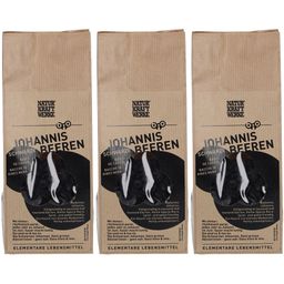 NATURKRAFTWERKE® Groseilles noires BIO