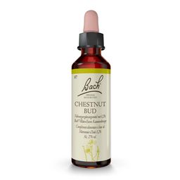 BACH®-BLÜTE CHESTNUT BUD (Bourgeon de châtaignier)